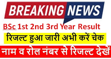 Bsc-Result-2023-Name-Wise, बीएससी-रिजल्ट-फर्स्ट-ईयर-सेकंड-ईयर-फाइनल-ईयर-का-यहां-से-करें-चेक