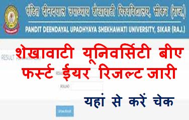 Shekhawati-University-BA-1st-Year-Result-2023, पीडीयूएसयू-बीए-1st-ईयर-रिजल्ट-2023-जारी, यहां-से-करें-चेक