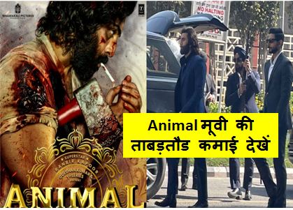 Animal-Box-Office-Collection-Day-Wise : ‘एनिमल’ ने-बॉक्स-ऑफिस-पर-मचाया-गदर, इतना-कर-डाला-कलेक्शन