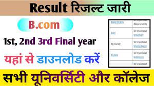 B-Com-3rd-Year-Result-2024-Name-Wise, (बीए-रिजल्ट-जारी-यहां-से-देखें) Check-B-Com-Part 3rd-Result-2024